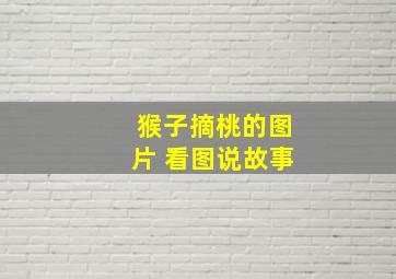 猴子摘桃的图片 看图说故事